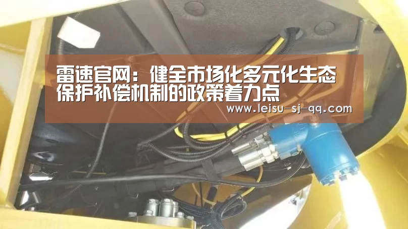 雷速官网:健全市场化多元化生态保护补偿机制的政策着力点(图1) 雷速