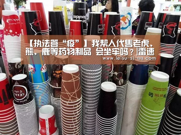 雷速体育网页版