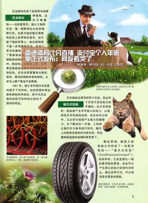 雷速体育网页端