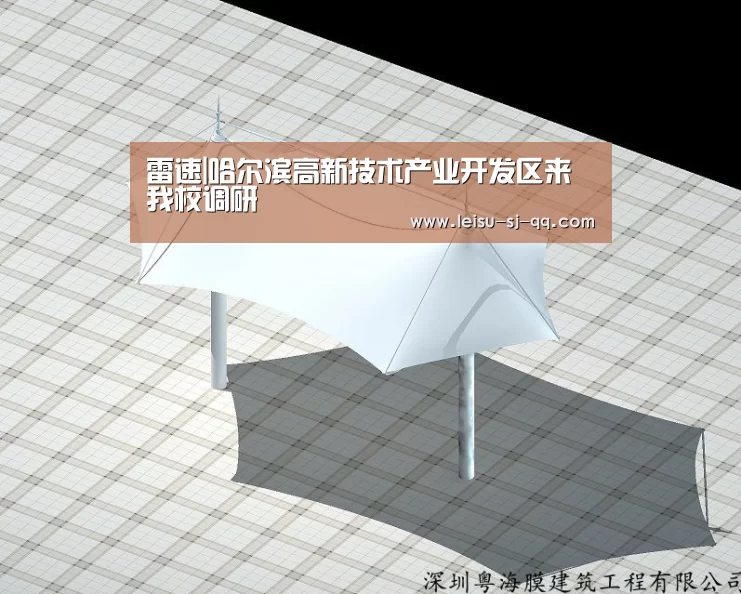 雷速体育