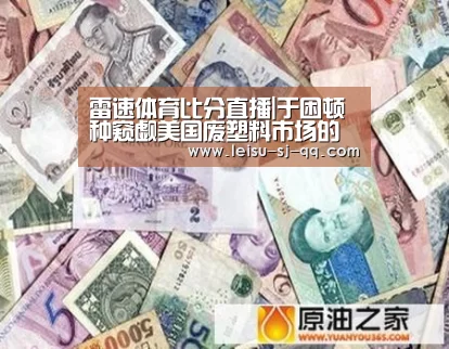雷速体育比分直播|于困顿种窥觑美国废塑料市场的无限商机(图2) 雷速官网