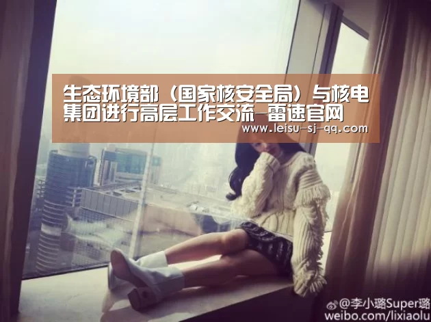 生态环境部(国家核安全局)与核电集团进行高层工作交流-雷速官网(图3) 雷速