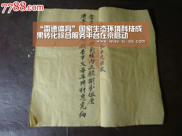 雷速体育网页版