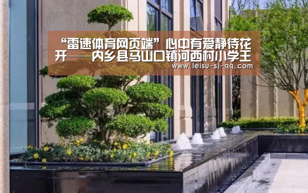 “雷速体育网页端”心中有爱静待花开——内乡县马山口镇河西村小学王丽老师(图4) 雷速