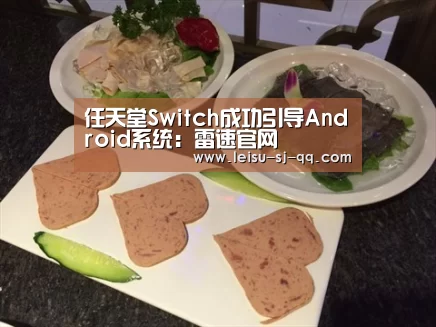 任天堂Switch成功引导Android系统:雷速官网(图3) 雷速体育网页端