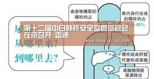 雷速官网