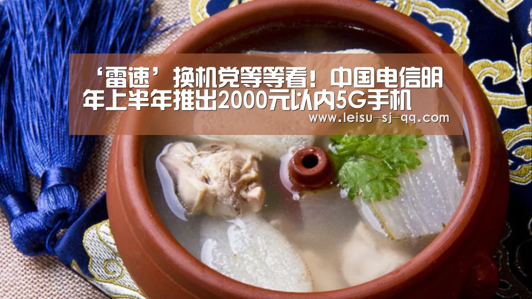 雷速体育网页版